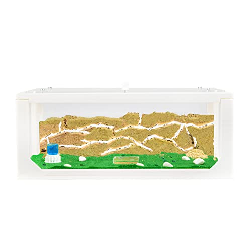 AntHouse - Natürliche Ameisenfarm aus Sand Weiß | 3D Big Starter Set 30x15x10 cm | Ant Farm | Inklusive Ameisenkolonie von AntHouse