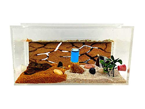 Anthillshop.es Natürliche Ameisenfarm aus Sand | Acryl Starter Set 20x10x10 cm | - Ameisen enthaltenenthalt 20 a 30 Arbeitskräfte von Anthillshop.es