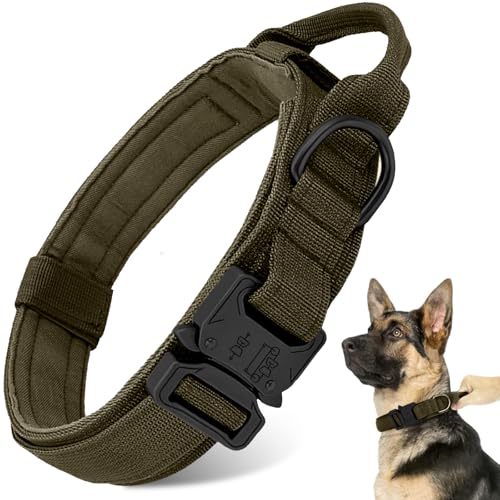 Taktisches Hundehalsband, Militär-Hundehalsband, verstellbar, robuste Metallschnalle, Nylon, Hundehalsband mit Kontrollgriff für kleine, mittelgroße und große Hunde (Grün, M) von Antswish