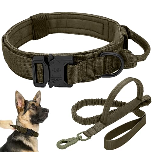 Taktisches Hundehalsband-Leinen-Set, verstellbar, Militär-Training, Nylon, Hundetraining mit Kontrollgriff und Metallschnalle, Hundehalsband für mittelgroße und große Hunde (Grün, L) von Antswish