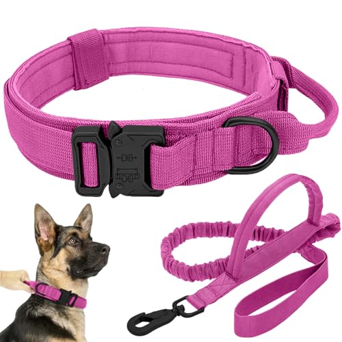 Taktisches Hundehalsband-Leinen-Set, verstellbar, Militär-Training, Nylon, Hundetraining mit Kontrollgriff und Metallschnalle, Hundehalsband für mittelgroße und große Hunde (Rosa, L) von Antswish