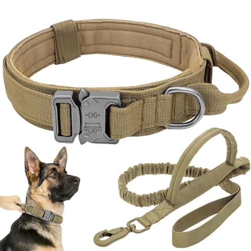 Taktisches Hundehalsband-Leinen-Set (Braun, L) von Antswish