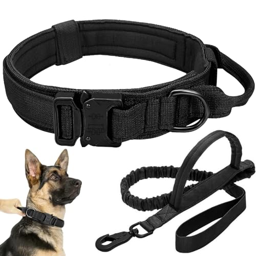 Taktisches Hundehalsband-Leinen-Set (Schwarz, L) von Antswish