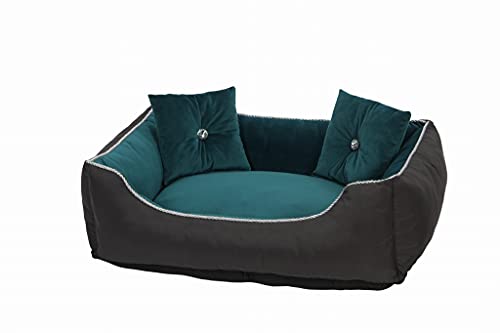 Antyki24 Luxus Hundebett für mittelgroße Hunde washbar - Hundeplatz für mittlere Hunde aus Samt - Hunde Bett im Glamour Stil mit warmes Schlafplatz für Hunde in Größe L 90x65cm im Türkisgrün Farbe von Antyki24