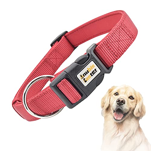 Reflektierendes Hundehalsband, Nylon, weich gepolstert, atmungsaktiv, verstellbar, strapazierfähig, für Training, Spazierengehen, Laufen, Camping (M, rot) von Anubis Bastet