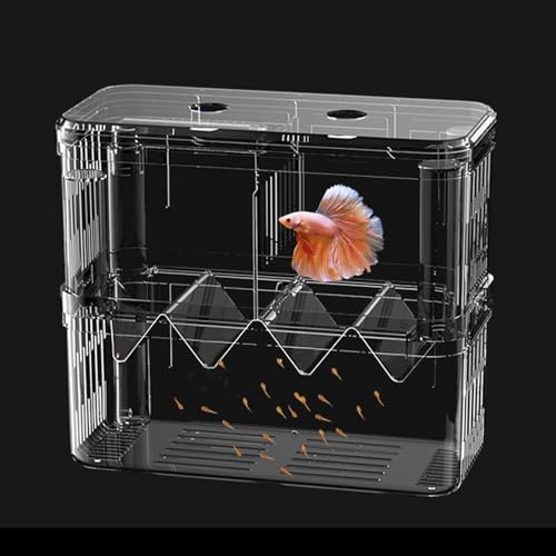 Anulely Aquarium-Zuchtbox, Fisch-Isolationsbox - Acryl-Brutkasten, doppelschichtiger Zuchttank,Transparente, abnehmbare Brutbox für Guppys, Garnelen und kleine Fische von Anulely