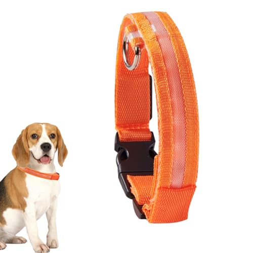 Anulely Blinkende Hundehalsbänder,Blinkendes, leuchtendes LED-Halsband für Hunde | Wiederaufladbares, blinkendes LED-Sicherheitshalsband für mittelgroße und kleine Haustiere und Hunde von Anulely