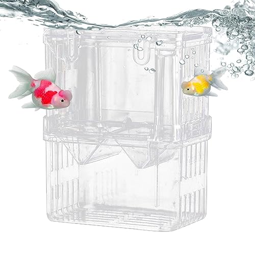 Fish Breeding Box | Fish Tank Breeding Isolation Box | Fish Inkubator with Suction Cups Baby Fish Separator for Tank, Fish Tank Breeding Isolation Anulely von Anulely