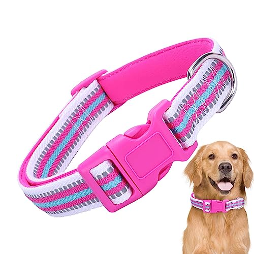 Kleines Hundehalsband, Verstellbares Hundehalsband mit Sicherheitsschnalle, Haustier-Nacht-Gehhalsband, Haustierhalsbänder für kleine, mittelgroße und große Hunde, Katzen, Haustiere, Größe S Anulely von Anulely