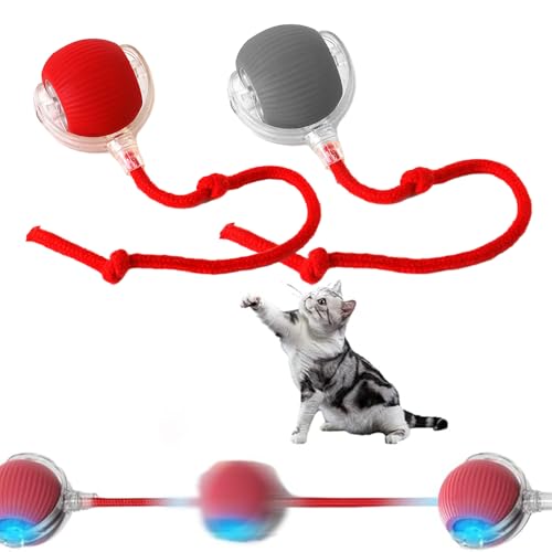 Anyingkai 2 Stück Interaktives Katzenspielzeug Katzenball mit LED Licht,Katzenspielzeug Elektrisch Katzenball,Katzenspielzeug Selbstbeschäftigung Wiederaufladbares,Katzenspielzeug Intelligenz Ball von Anyingkai