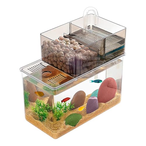 Kleines Aquarium mit Filter, selbstreinigendes Betta-Fischtank, mit Boden-Saugnapf, leise Wasserpumpe, ideal für Desktop-Aquarien (inkl. Filtermaterial) von AoBeiWorld