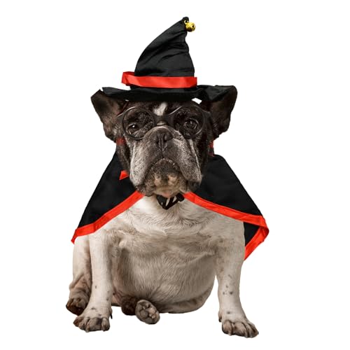 Hundekostüm Halloween, Hexenhut und Umhang für Katzen und Hunde, Halloween Kostüm für Katzen und Hunde, Hunde Cap und Katzen Hut, Katzen Kleidung, Kostüm für Katzen und Hunde von Aomhrek