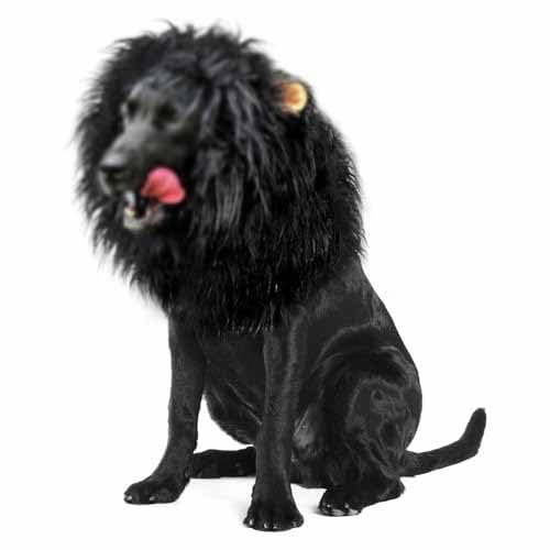 Lion Mane for Dog, Black Lion Mane for Dog, 2024 New Lion Mane for Dog, Realistic Lion Mane Wig, Realistic & Funny Lion Mane for Dogs (Color : Black, Size : L) von Aosrioylt