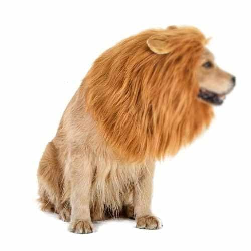 Lion Mane for Dog, Black Lion Mane for Dog, 2024 New Lion Mane for Dog, Realistic Lion Mane Wig, Realistic & Funny Lion Mane for Dogs (Color : Brown, Size : L) von Aosrioylt