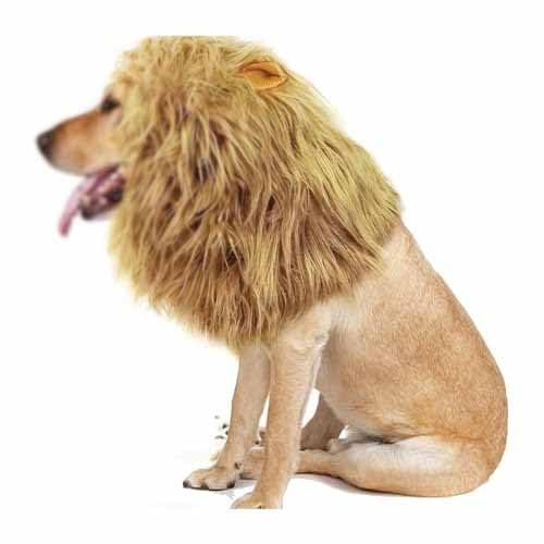 Lion Mane for Dog, Black Lion Mane for Dog, 2024 New Lion Mane for Dog, Realistic Lion Mane Wig, Realistic & Funny Lion Mane for Dogs (Color : Yellow, Size : L) von Aosrioylt