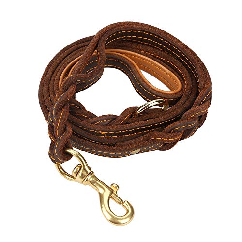 Apexare Dog Tie Out Cable, Heavy Duty Chew Proof Leash, Long Lead Chain Leather Training Strap with Double Hooks, Yard and Outdoor Rope, for Training, Walking, Yard Activities von Apexare