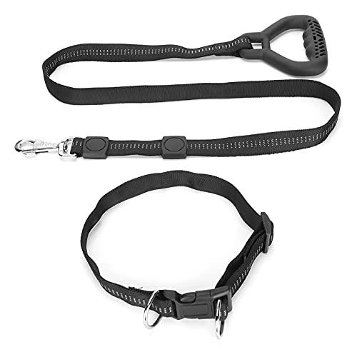 Apexare Dog Tie Out Cable, Heavy Duty Leashes for Large Dogs, Chew Proof Lead Chain, Long Yard Leads Handle Adjustable Size, for Running, Training, Camping (Black) von Apexare