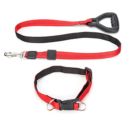 Apexare Dog Tie Out Cable, Heavy Duty Leashes for Large Dogs, Chew Proof Lead Chain, Long Yard Leads Handle Adjustable Size, for Running, Training, Camping (Red) von Apexare