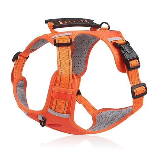 Apexare Geschirr für kleine Hunde, reflektierendes, verstellbares Hundegeschirr-Leine-Set mit doppeltem Schutz, Heimtierbedarf, für Welpen, kleine Hunde, Spazierengehen, Training, (XS) von Apexare