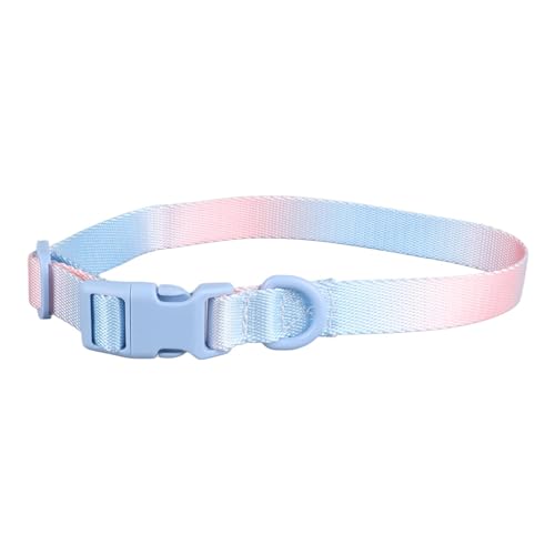 Apexare Hundehalsband, personalisiertes, individuelles, Robustes, verstellbares, modisches, farbenfrohes Haustierhalsband aus Polyester, für Training, Verhaltenshilfen, (Pink Blue) von Apexare