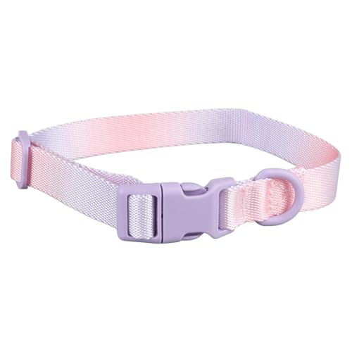 Apexare Hundehalsband, personalisiertes, individuelles, Robustes, verstellbares, modisches, farbenfrohes Haustierhalsband aus Polyester, für Training, Verhaltenshilfen, (Purple Pink) von Apexare