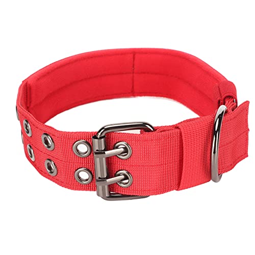 Apexare Hundehalsband für große Hunde, personalisiertes, verstellbares, Robustes Halsband mit Metallschnalle und Klettverschluss, für Training, Verhaltenshilfen, Patrouillen, (XL) von Apexare