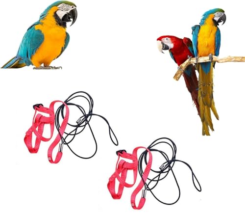 2pcs Verstellbares Geschirr für Papageien Vogel Geschirr Leine für draußen zum Trainieren von Fliegen Leine gegen Beißen elastisches Band für Vögel Papageien Kakadus Aras von Apgdzpa