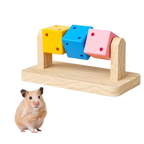 Hamster-Kauspielzeug, Rattenkäfig Zubehör,natürliches Holz zum Schleifen der Zähne, Spielzeug für Meerschweinchen,Intelligenz-Training, bunter Holzblock für kleine Haustiere zum Kauen und Spielen von Apgdzpa