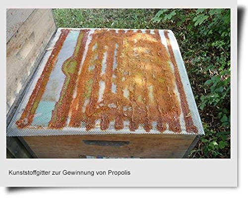 Apisfarm Propolisgitter,Dadant,Propolis.Imkerei,Imker,bee,Kittharz von Apisfarm