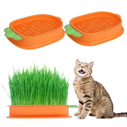 Apricitie 2Pcs Gras-Katzenbox,Katzengras-Pflanzschale Katzengras-Keimschale Hydroponik-Pflanzkasten Katzenminze-Katzengras-Box für Katzen von Apricitie