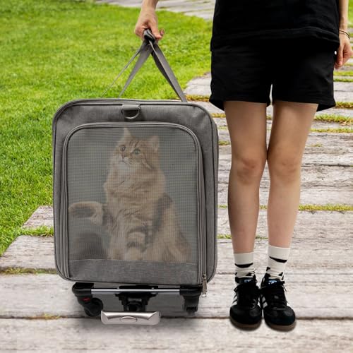 Apriltop Haustier Transportbox mit 4 Rädern, Katzen Transporttasche für 2 Katzen mit Mehrfachtaschen, Trolley für Katzen Hund, Belastung 17,5Kg, mit Schallwand, Matten, Schulterriemen, Grau von Apriltop