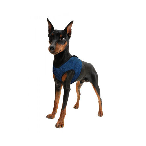 Aqua Coolkeeper Comfy Harness - Pacific Blue - XS von Aqua Coolkeeper