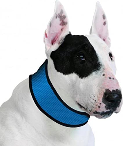 Aqua Coolkeeper Pacific Hundehalsband mit Frischefunktion, blau von Aqua Coolkeeper