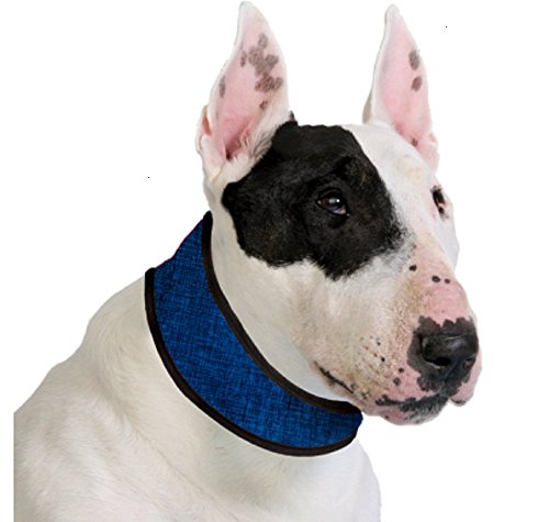 Aqua Coolkeeper Pacific Hundehalsband mit Frischefunktion, blau von Aqua Coolkeeper