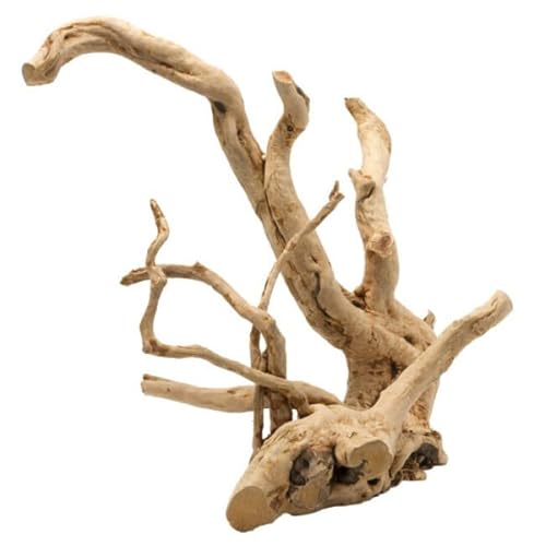 Aqua Della, Driftwood poliert S – 15 – 28 cm Braun, Fisch, Braun, Fisch von Aqua Della