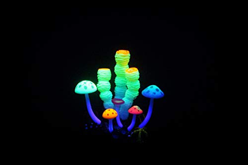 Aqua Lumo Fluoreszierender Korallenschwamm aus Silikon von Aqua Lumo