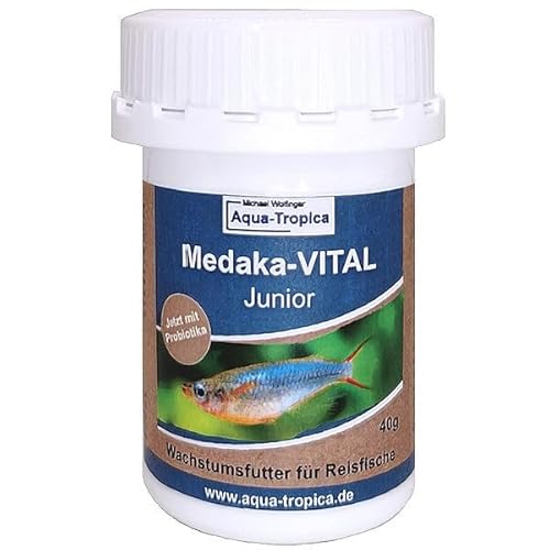 Aqua-Tropica Medaka-VITAL Junior 40g - Wachstums Futter für Medaka, Reisfische, Oryzias mit Allen wichtigen Nährstoffen gesunden und gleichmäßigen Wuchs von Aqua-Tropica VITAL