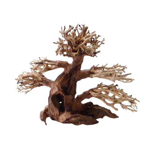 AquaOne Aquarium Bonsai Baum L Nr.1045 Wurzel Oriental Holz 30x20x25 cm I Aquascaping Dekoration I Natur Unikat Bonsaibaum I Landschaft Deko Unterwasserlandschaft von AquaOne