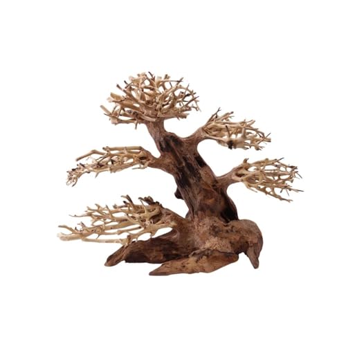 AquaOne Aquarium Bonsai Baum L Nr.1050 Wurzel Oriental Holz 30x20x25 cm I Aquascaping Dekoration I Natur Unikat Bonsaibaum I Landschaft Deko Unterwasserlandschaft von AquaOne