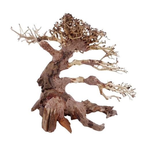 AquaOne Aquarium Bonsai Baum L Nr.11368 Wurzel Oriental Holz 30x20x25 cm I Aquascaping Dekoration I Natur Unikat Bonsaibaum I Landschaft Deko Unterwasserlandschaft von AquaOne