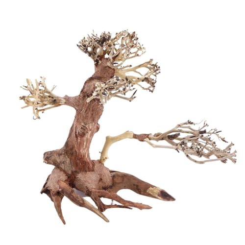 AquaOne Aquarium Bonsai Baum L Nr.11372 Wurzel Oriental Holz 30x20x25 cm I Aquascaping Dekoration I Natur Unikat Bonsaibaum I Landschaft Deko Unterwasserlandschaft von AquaOne