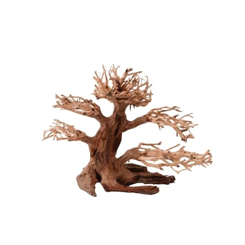 AquaOne Aquarium Bonsai Baum M Nr.1011 I Wurzel Oriental Holz 20x15x20 cm I Aquascaping Dekoration I Natur Unikat Bonsaibaum I Landschaft Deko Unterwasserlandschaft von AquaOne