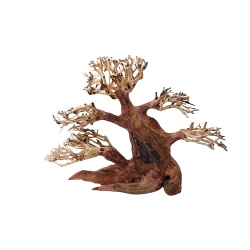 AquaOne Aquarium Bonsai Baum M Nr.1014 I Wurzel Oriental Holz 20x15x20 cm I Aquascaping Dekoration I Natur Unikat Bonsaibaum I Landschaft Deko Unterwasserlandschaft von AquaOne