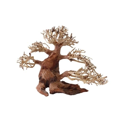 AquaOne Aquarium Bonsai Baum M Nr.1015 I Wurzel Oriental Holz 20x15x20 cm I Aquascaping Dekoration I Natur Unikat Bonsaibaum I Landschaft Deko Unterwasserlandschaft von AquaOne