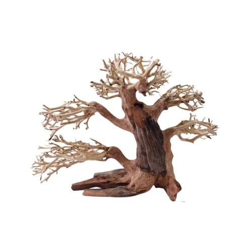 AquaOne Aquarium Bonsai Baum M Nr.1017 I Wurzel Oriental Holz 20x15x20 cm I Aquascaping Dekoration I Natur Unikat Bonsaibaum I Landschaft Deko Unterwasserlandschaft von AquaOne