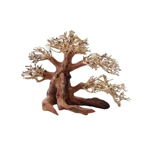 AquaOne Aquarium Bonsai Baum M Nr.1023 I Wurzel Oriental Holz 20x15x20 cm I Aquascaping Dekoration I Natur Unikat Bonsaibaum I Landschaft Deko Unterwasserlandschaft von AquaOne