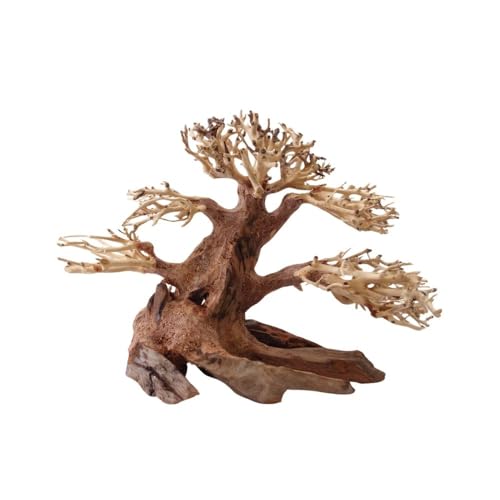 AquaOne Aquarium Bonsai Baum M Nr.1024 I Wurzel Oriental Holz 20x15x20 cm I Aquascaping Dekoration I Natur Unikat Bonsaibaum I Landschaft Deko Unterwasserlandschaft von AquaOne