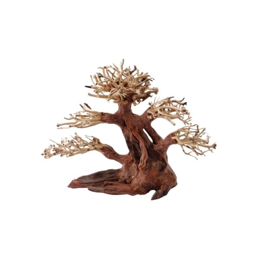 AquaOne Aquarium Bonsai Baum M Nr.1026 I Wurzel Oriental Holz 20x15x20 cm I Aquascaping Dekoration I Natur Unikat Bonsaibaum I Landschaft Deko Unterwasserlandschaft von AquaOne