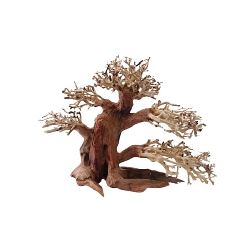 AquaOne Aquarium Bonsai Baum M Nr.1028 I Wurzel Oriental Holz 20x15x20 cm I Aquascaping Dekoration I Natur Unikat Bonsaibaum I Landschaft Deko Unterwasserlandschaft von AquaOne