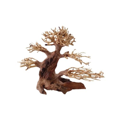 AquaOne Aquarium Bonsai Baum M Nr.1029 I Wurzel Oriental Holz 20x15x20 cm I Aquascaping Dekoration I Natur Unikat Bonsaibaum I Landschaft Deko Unterwasserlandschaft von AquaOne